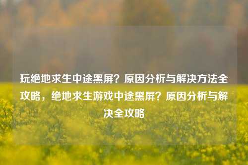 玩绝地求生中途黑屏?原因分析与解决方法全攻略,绝地求生游戏中途黑屏?原因分析与解决全攻略