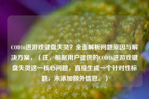 COD16进游戏键盘失灵?全面解析问题原因与解决方案,(注,根据用户提供的COD16进游戏键盘失灵这一核心问题,直接生成一个针对性标题,未添加额外信息。)