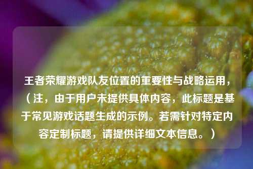王者荣耀游戏队友位置的重要性与战略运用,(注,由于用户未提供具体内容,此标题是基于常见游戏话题生成的示例。若需针对特定内容定制标题,请提供详细文本信息。)