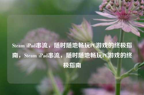 Steam iPad串流，随时随地畅玩PC游戏的终极指南，Steam iPad串流，随时随地畅玩PC游戏的终极指南