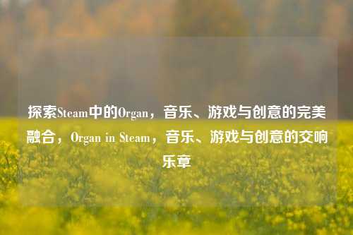 探索Steam中的Organ,音乐、游戏与创意的完美融合,Organ in Steam,音乐、游戏与创意的交响乐章