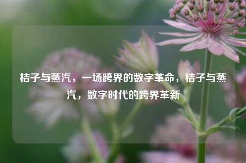 桔子与蒸汽，一场跨界的数字革命，桔子与蒸汽，数字时代的跨界革新