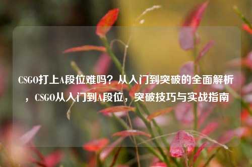 CSGO打上A段位难吗?从入门到突破的全面解析,CSGO从入门到A段位,突破技巧与实战指南