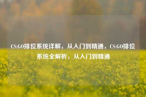 CS:GO排位系统详解,从入门到精通,CS:GO排位系统全解析,从入门到精通