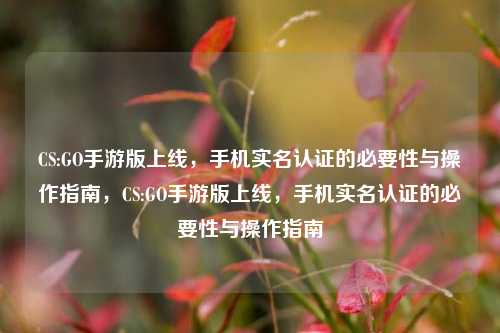 CS:GO手游版上线，手机实名认证的必要性与操作指南，CS:GO手游版上线，手机实名认证的必要性与操作指南