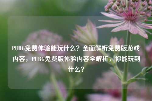 PUBG免费体验能玩什么?全面解析免费版游戏内容,PUBG免费版体验内容全解析,你能玩到什么?