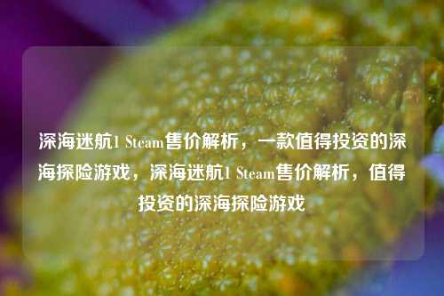 深海迷航1 Steam售价解析，一款值得投资的深海探险游戏，深海迷航1 Steam售价解析，值得投资的深海探险游戏