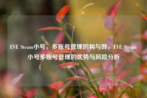 EVE Steam小号，多账号管理的利与弊，EVE Steam小号多账号管理的优势与风险分析