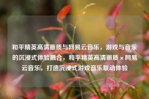 和平精英高清画质与网易云音乐，游戏与音乐的沉浸式体验融合，和平精英高清画质×网易云音乐，打造沉浸式游戏音乐联动体验