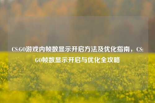 CS:GO游戏内帧数显示开启方法及优化指南，CS:GO帧数显示开启与优化全攻略