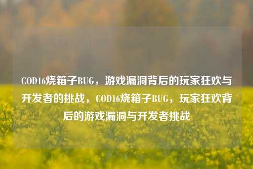 COD16烧箱子BUG,游戏漏洞背后的玩家狂欢与开发者的挑战,COD16烧箱子BUG,玩家狂欢背后的游戏漏洞与开发者挑战