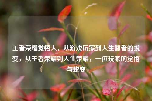王者荣耀觉悟人，从游戏玩家到人生智者的蜕变，从王者荣耀到人生荣耀，一位玩家的觉悟与蜕变