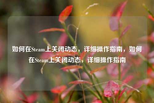 如何在Steam上关闭动态，详细操作指南，如何在Steam上关闭动态，详细操作指南