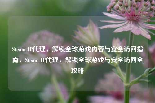 Steam IP代理,解锁全球游戏内容与安全访问指南,Steam IP代理,解锁全球游戏与安全访问全攻略