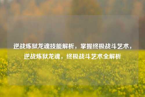 逆战炼狱龙魂技能解析,掌握终极战斗艺术,逆战炼狱龙魂,终极战斗艺术全解析