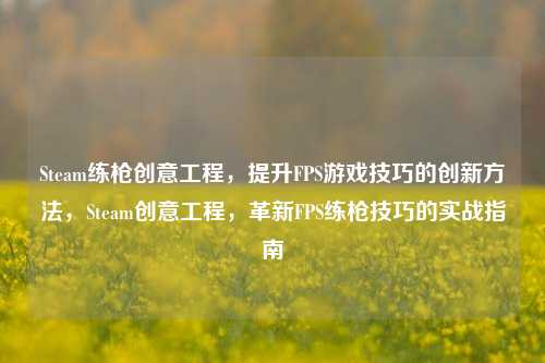 Steam练枪创意工程,提升FPS游戏技巧的创新方法,Steam创意工程,革新FPS练枪技巧的实战指南