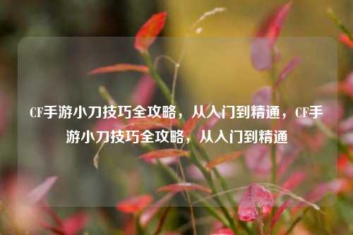 CF手游小刀技巧全攻略,从入门到精通,CF手游小刀技巧全攻略,从入门到精通