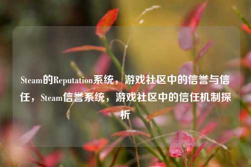 Steam的Reputation系统,游戏社区中的信誉与信任,Steam信誉系统,游戏社区中的信任机制探析