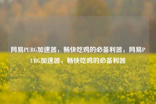 网易PUBG加速器，畅快吃鸡的必备利器，网易PUBG加速器，畅快吃鸡的必备利器