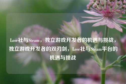 Lose社与Steam,独立游戏开发者的机遇与挑战,独立游戏开发者的双刃剑,Lose社与Steam平台的机遇与挑战
