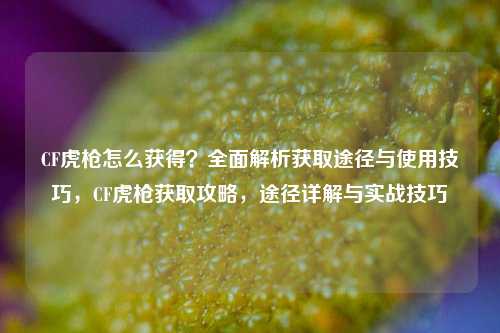 CF虎枪怎么获得？全面解析获取途径与使用技巧，CF虎枪获取攻略，途径详解与实战技巧