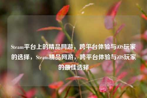 Steam平台上的精品网游,跨平台体验与iOS玩家的选择,Steam精品网游,跨平台体验与iOS玩家的最佳选择