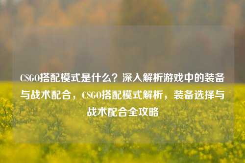 CSGO搭配模式是什么？深入解析游戏中的装备与战术配合，CSGO搭配模式解析，装备选择与战术配合全攻略