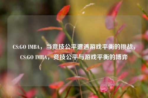 CS:GO IMBA,当竞技公平遭遇游戏平衡的挑战,CS:GO IMBA,竞技公平与游戏平衡的博弈