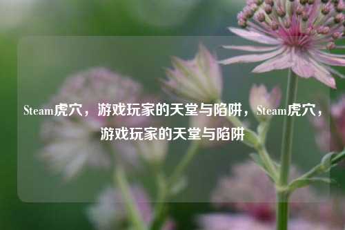 Steam虎穴,游戏玩家的天堂与陷阱,Steam虎穴,游戏玩家的天堂与陷阱