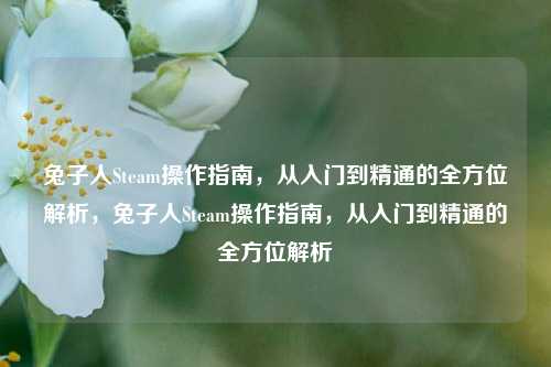 兔子人Steam操作指南，从入门到精通的全方位解析，兔子人Steam操作指南，从入门到精通的全方位解析