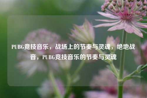 PUBG竞技音乐,战场上的节奏与灵魂,绝地战音,PUBG竞技音乐的节奏与灵魂
