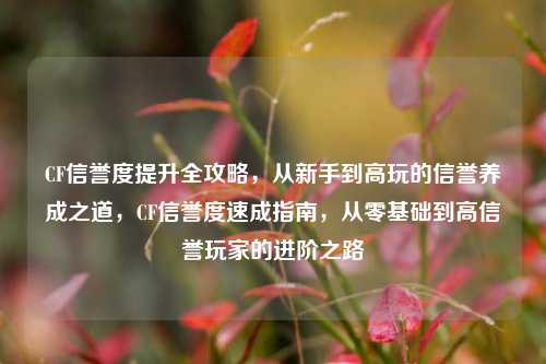 CF信誉度提升全攻略,从新手到高玩的信誉养成之道,CF信誉度速成指南,从零基础到高信誉玩家的进阶之路
