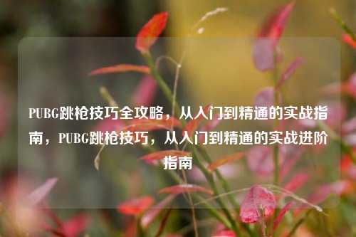 PUBG跳枪技巧全攻略，从入门到精通的实战指南，PUBG跳枪技巧，从入门到精通的实战进阶指南